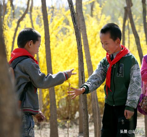 宝宝八字三才五格免费下截