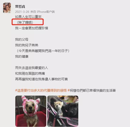 算命网免费算命无情之合