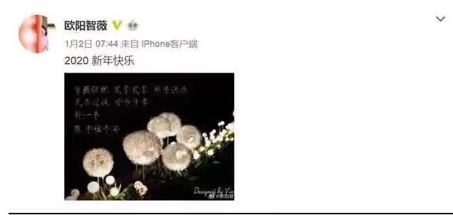 欧阳智薇八字分析