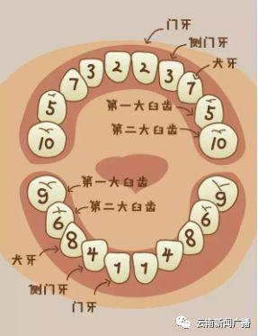 儿童八字刷牙