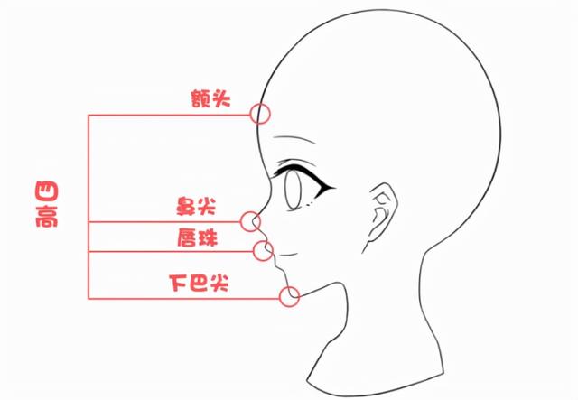 眼睛下边有八字纹是眼袋