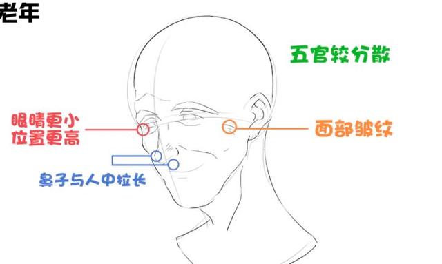 眼睛下边有八字纹是眼袋