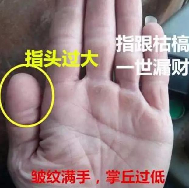 算命网免费怎样看掌纹