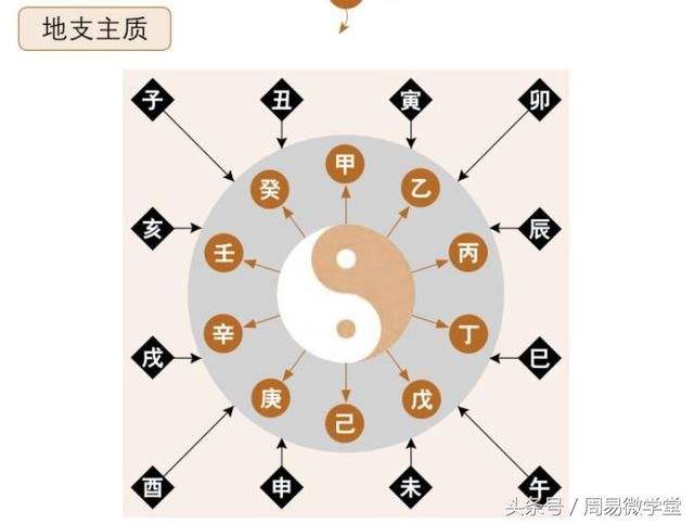 八字八天干与地支的作用关系 八字天干和地支哪个作用大