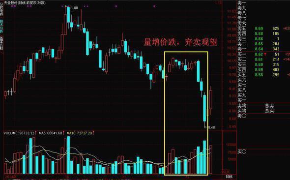 刘文元八字预测视频实例详解