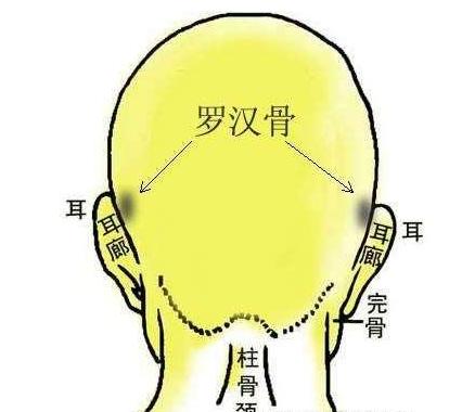 摸骨算命免费查询