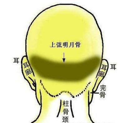 摸骨算命免费查询