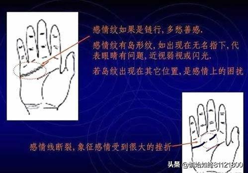 免费看手相算命照片