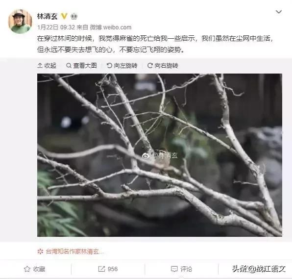 林清玄命理八字分析