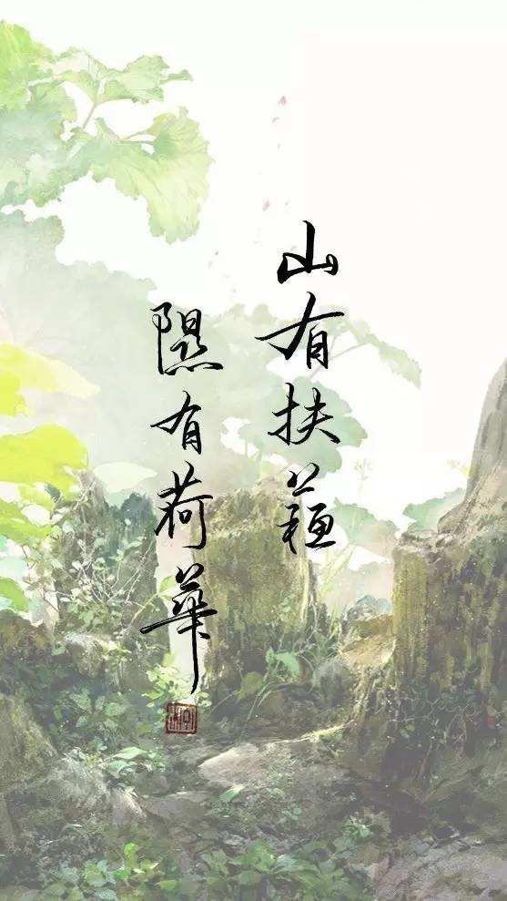 蒙曼八字分析