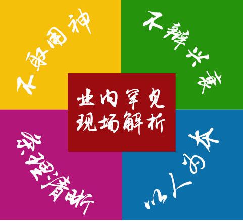 周素丽八字培训教学 周素丽八字全部视频顺序播放