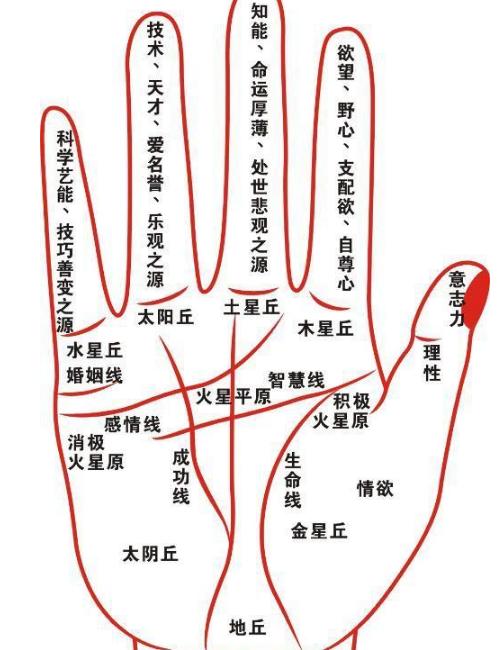 三藏命理八字精准分析