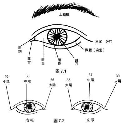 眼八字纹面相