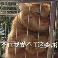 周累八字取名下载