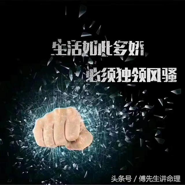 仁寿算八字哪个比较准