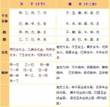 八字中地支作用 八字中地支藏干在命理中的作用