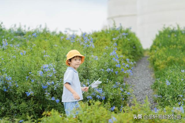 安康八字起名免费取名打分