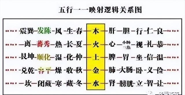 八字中五行含量计算