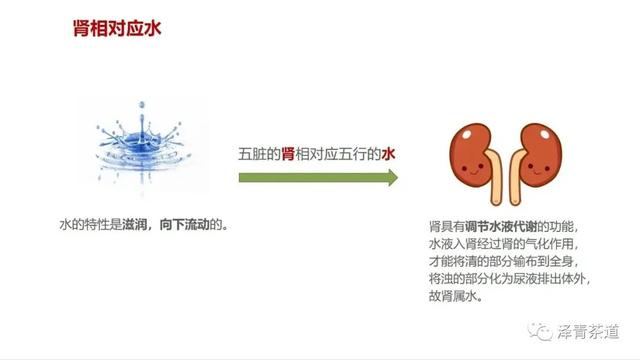 八字中五行含量计算