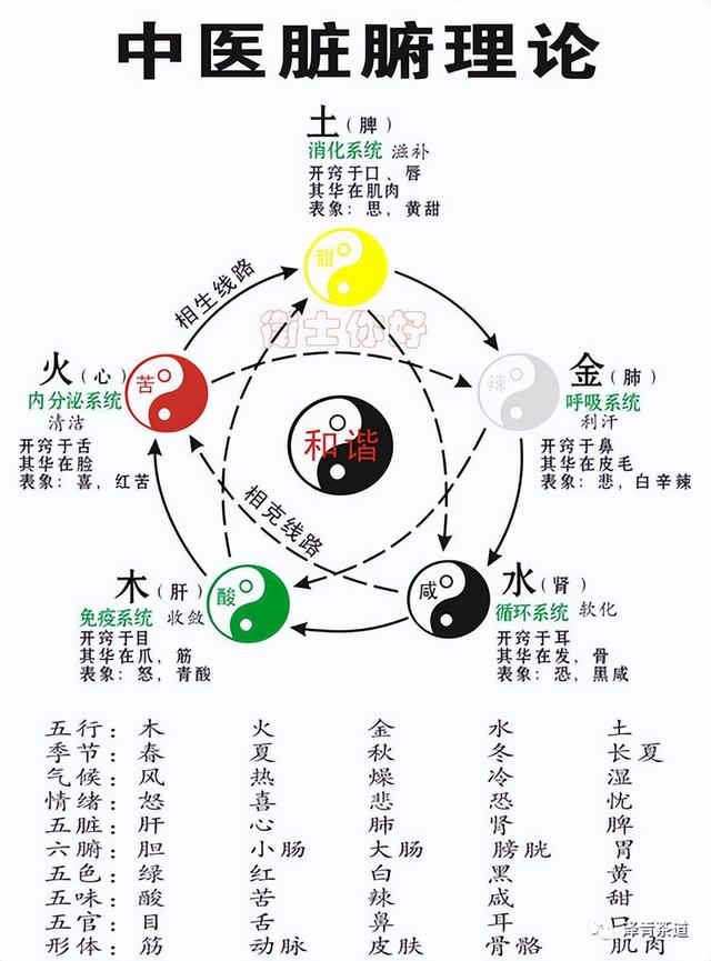 八字中五行含量计算