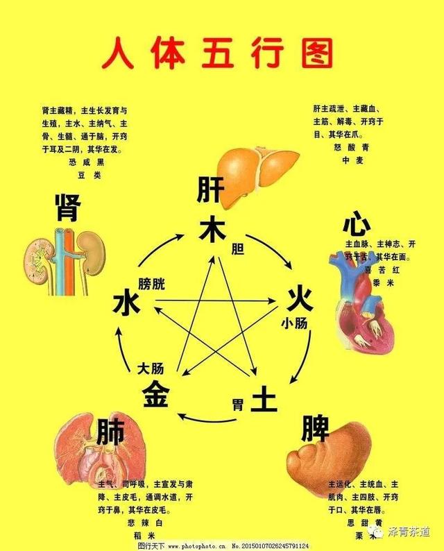 八字中五行含量计算