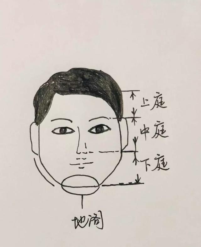 吴镇宇八字分析