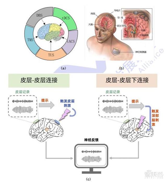 八字身弱容易被脑控