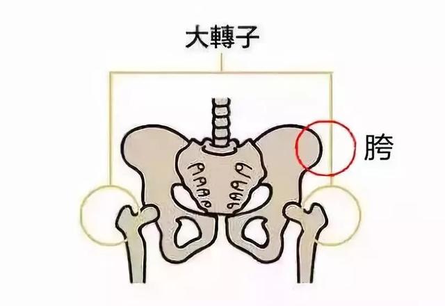 高圆圆八字天涯