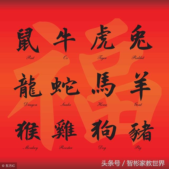 狗年八字分析