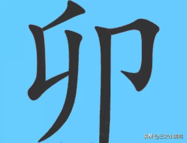 八字中三个卯分析