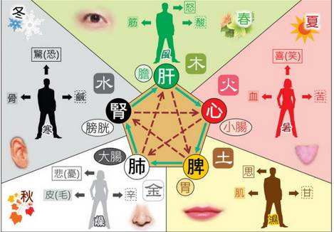 八字显示健康不好 身体不好的八字特征