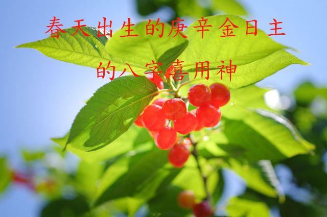 八字各季节的五行比例计算用神