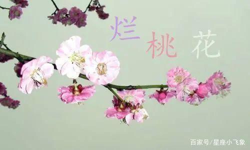 八字带内桃花好不好 八字自带桃花好不好