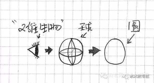 八字是四维生物发明的