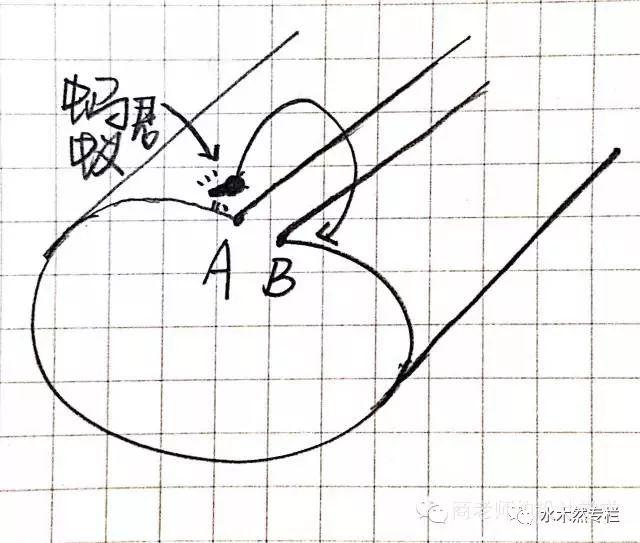 八字是四维生物发明的