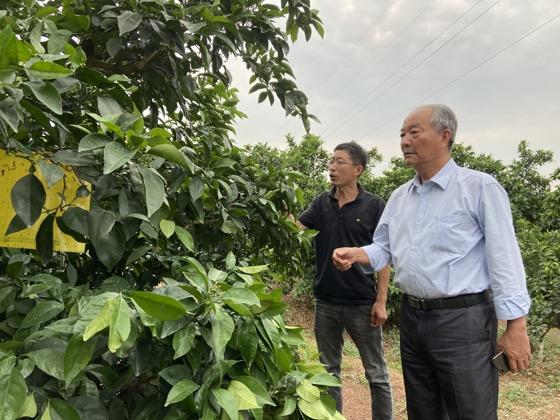 温州学习培训八字算命