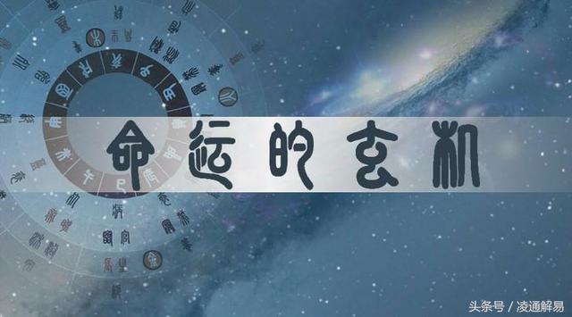 四柱八字排盘免安装软件下载