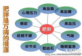 容易发福的八字