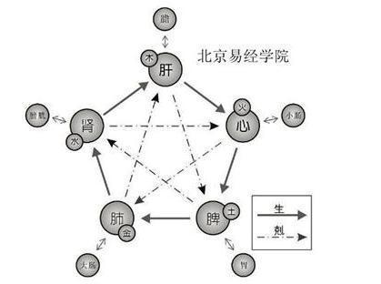 八字五行怎么运行