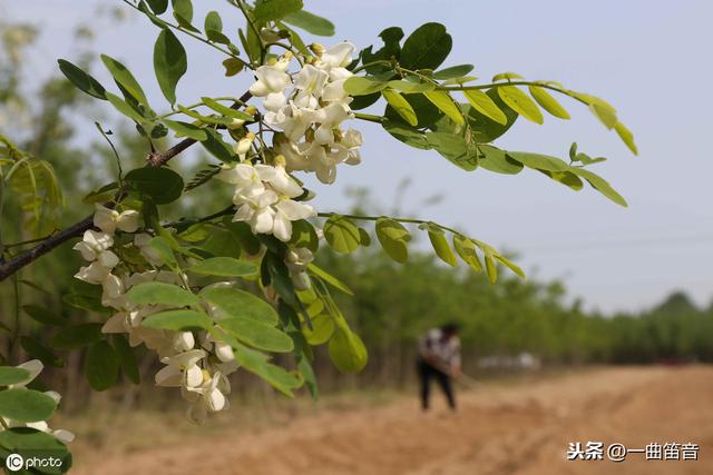 八字中童运推算法