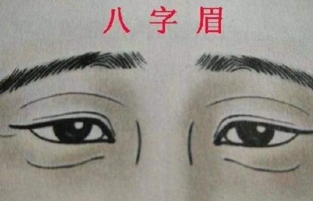 长八字眉毛的人有什么特点