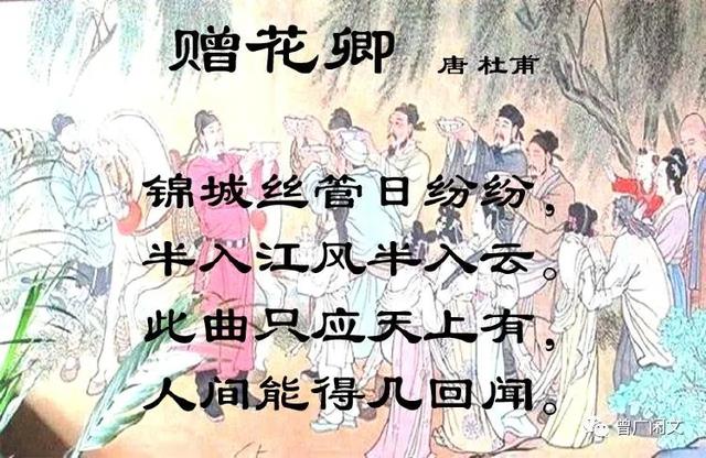 八字感情另类词