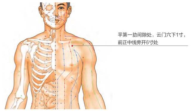 食指绷带八字包扎方法的视频