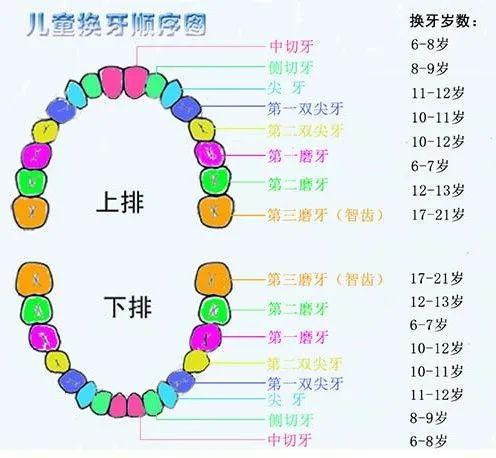 儿童换牙门齿八字不齐怎么办