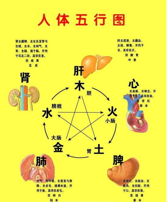 从八字日柱看你的发财状况