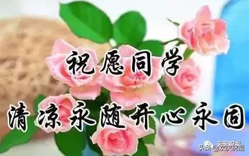 平安夜送玫瑰花祝福语八字