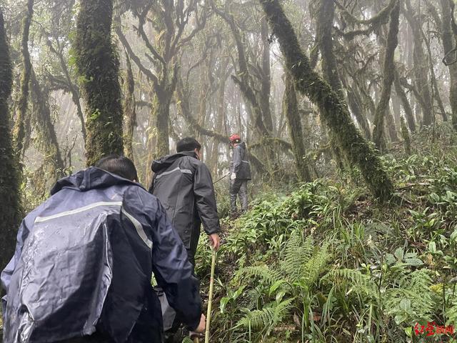 八字里有山头火怕大海水克吗