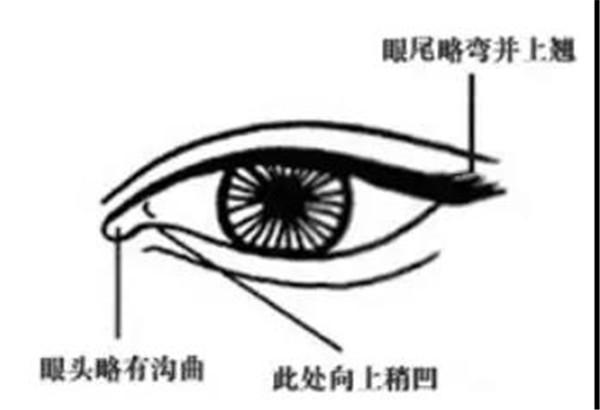 会在2020年遇到烂桃花的八字