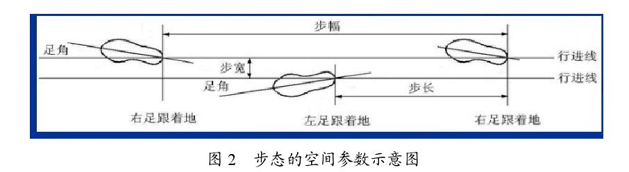 杨洋男演员八字分析