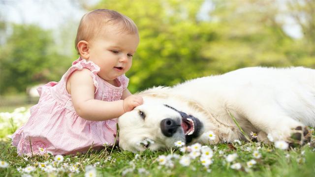 生辰八字看子女状况